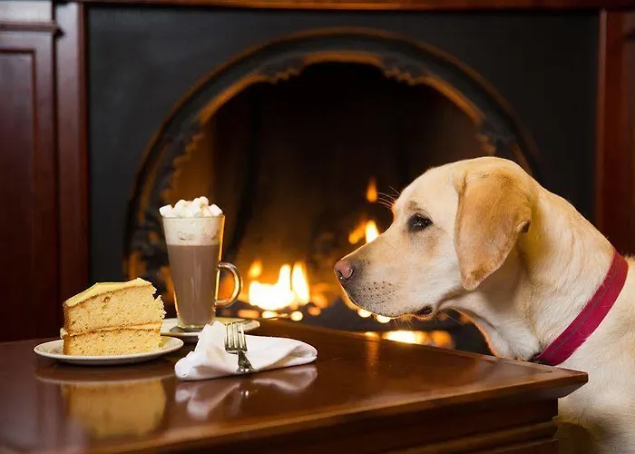 Lodore Falls Hotel&spa Hotel 4*